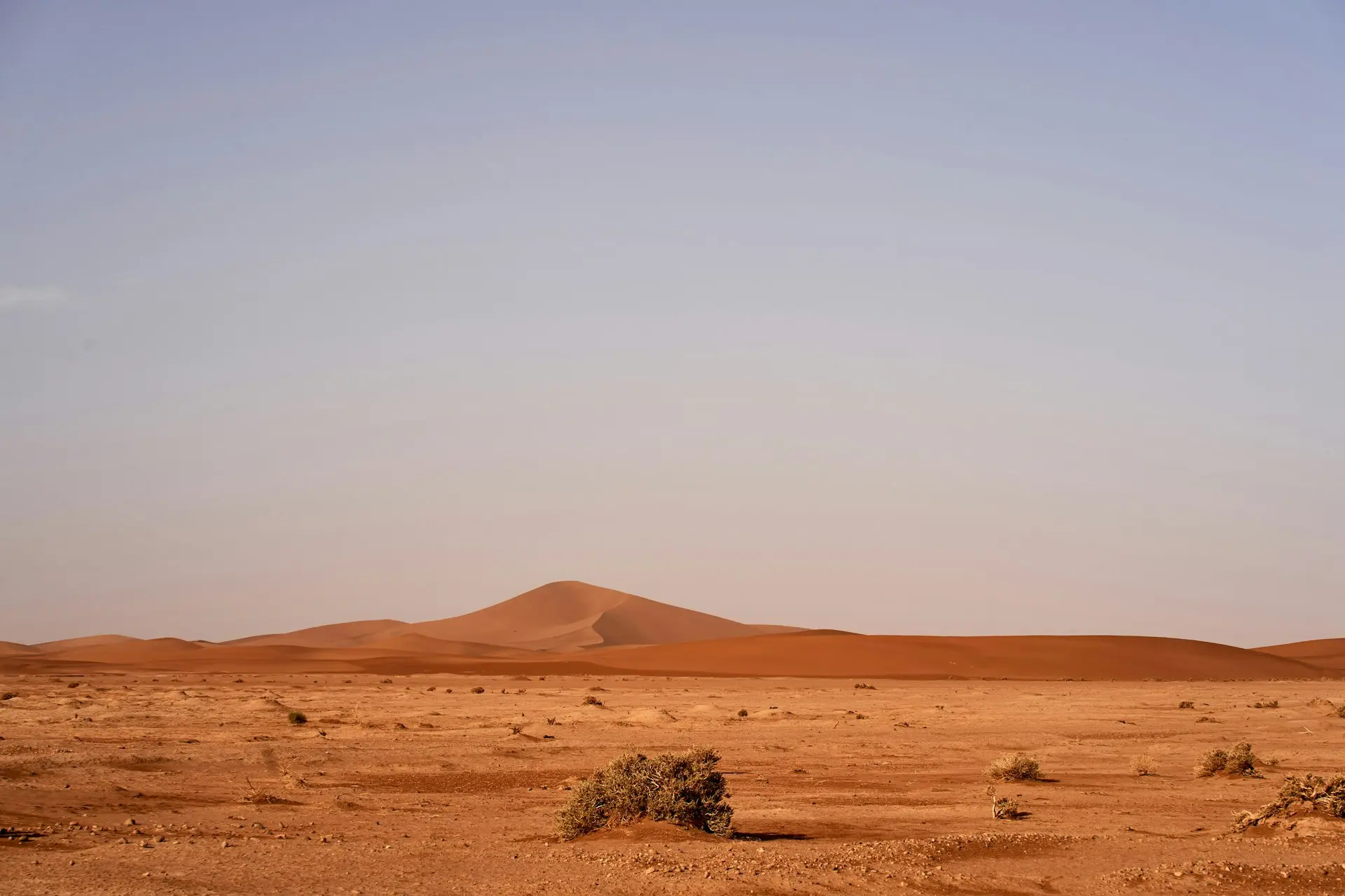brown sand and brown field during daytime