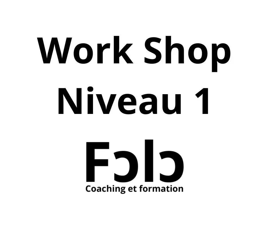 Workshop Niveau 1
